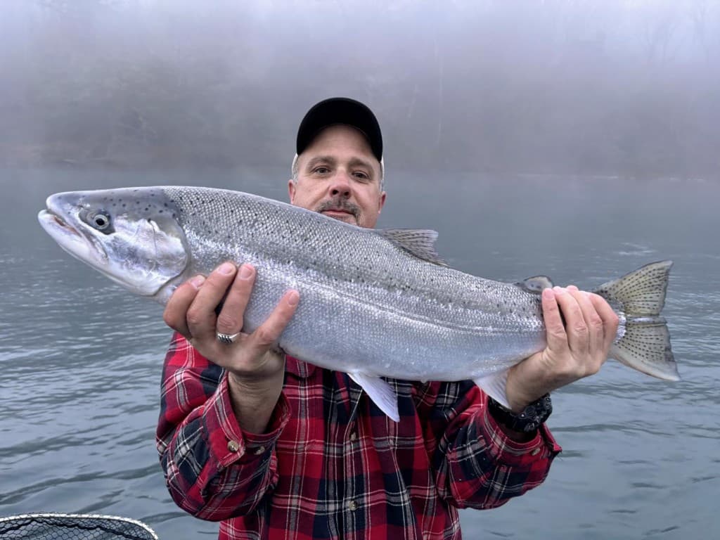 Angler in a red plaid shirt holding a chrome winter steelhead on a foggy river