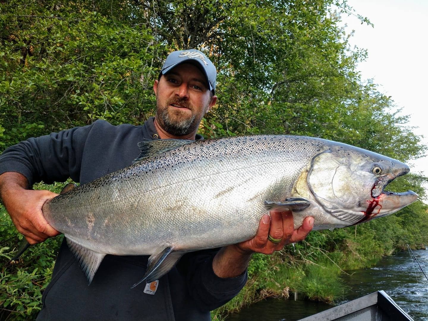A massive salmon landed on a guided trip